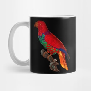 Black Panther Art - Beautiful Parrot 10 Mug